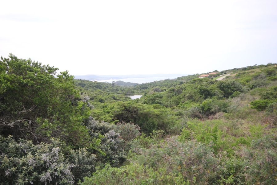 0 Bedroom Property for Sale in Khamanga Bay Eastern Cape